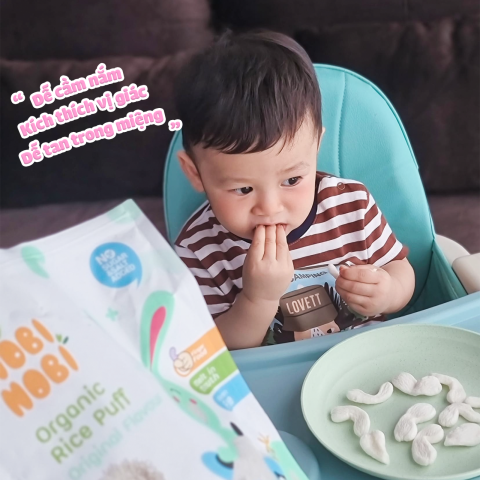Thực Phẩm Bổ Sung Bánh Gạo Ăn Dặm Hữu Cơ Cho Bé Nobi Nobi Hình Chữ C Vị Việt Quất 40g (Từ 6 Tháng Tuổi )
